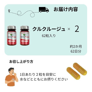 高吸収型クルクミン　クルクルージュ62粒入り2本