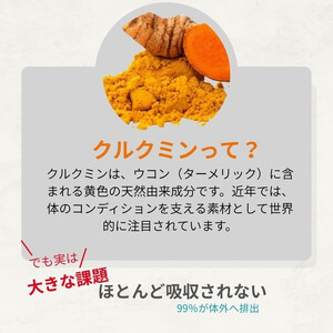 高吸収型クルクミン　クルクルージュ62粒入り3本