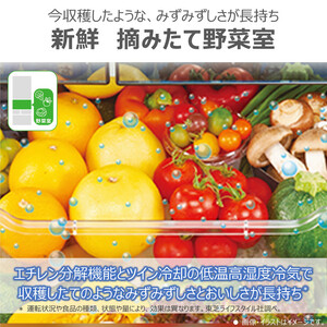 東芝 冷蔵庫 【標準設置費込み】 601L 6ドア 両開き 冷凍冷蔵庫 GR-Y600FK(EW)