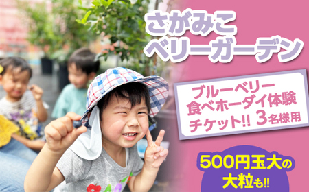 【おいしいにまなびをプラス】関東最大級の30種類越え！！3名様用 さがみこベリーガーデンのブルーベリー食べホーダイ体験チケット！！
