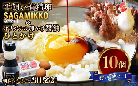 《かながわブランド認定》平飼い有精卵「さがみっこ」10個+オリジナル卵かけ醤油「ひとかけ」1本｜たまご 平飼い 有精卵