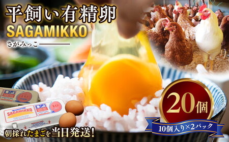 井上さん家 こだわりたまご 平飼い有精卵さがみっこ《かながわブランド認定》10個入り×2パック 計20個｜ 神奈川県 相模原市 たまご 卵 鶏卵 玉子 生卵 平飼い ケージフリー 有精卵 国産 濃厚 コク 旨味 卵焼き たまごかけご飯 朝食 ご褒美 究極の卵 ブランド卵 高級たまご アニマルウェルフェア  AAランク 健康 ※離島への配送不可