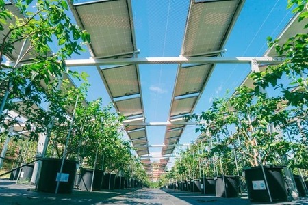 【相模原の山のめぐみ】ブルーベリージャム&"生"はちみつセット