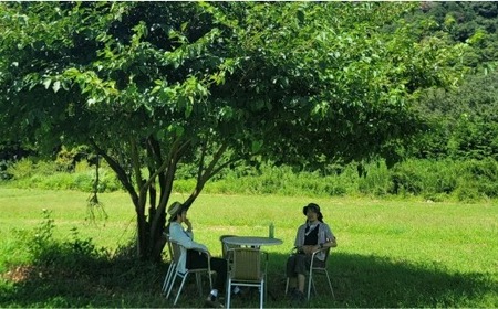 【相模原の山のめぐみ】ブルーベリージャム&"生"はちみつセット