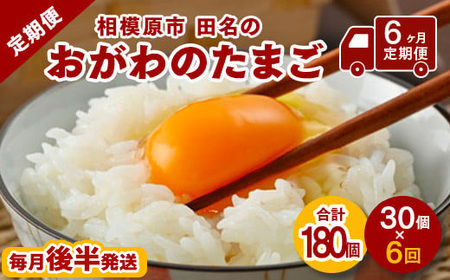 【6ヶ月定期便】【毎月後半発送】相模原市田名のおがわのたまご　ピンク卵 Mサイズ 30個(27個＋割れ補償3個)×6か月