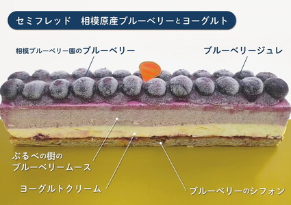 セミフレッドアイスケーキ　相模原産ブルーベリー