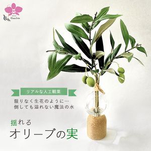 倒してもこぼれないお水 癒しのグリーン「揺れるオリーブの実」光触媒