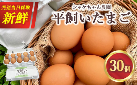 シャケちゃん農園の平飼い卵 30個 ｜ ボリスブラウン 新鮮 平飼い ケージフリー 鶏卵 玉子 たまご 生卵 国産 たまごかけご飯 朝食 ※離島への配送不可