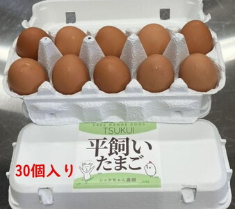 シャケちゃん農園の平飼い卵 30個 ｜ ボリスブラウン 新鮮 平飼い ケージフリー 鶏卵 玉子 たまご 生卵 国産 たまごかけご飯 朝食 ※離島への配送不可