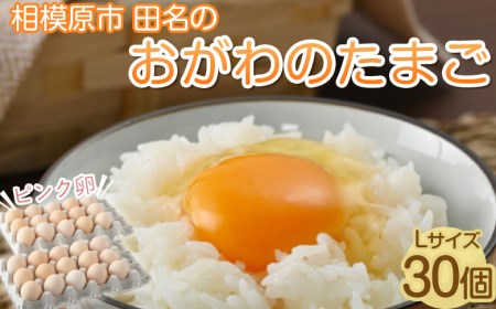 相模原市田名のおがわのたまご ピンク卵(Lサイズ)30個