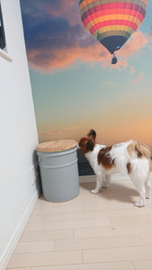 いす缶（スツール風ペール缶）・マットグリーン ※着日指定不可