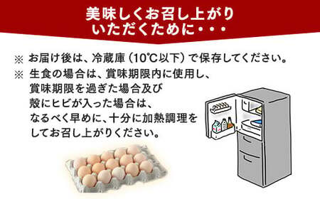 【5ヶ月定期便】相模原市田名のおがわのたまご　ピンク卵 Mサイズ 30個(27個＋割れ補償3個)×5か月 | 卵 鶏卵 玉子 たまご 生卵 国産 濃厚 コク 旨味 旨み※着日指定不可