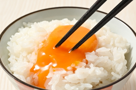 【12ヶ月定期便】料理人も「うまい!」と絶賛 昔の味たまご 20個入り(18個+割れ補償2個)×12か月| 卵 鶏卵 玉子 たまご 生卵 国産 濃厚 コク 卵かけご飯 旨味 旨み ※着日指定不可