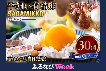 【ふるなびWEEK対象】 井上さん家 こだわりたまご 平飼い有精卵さがみっこ《かながわブランド認定》10個入り×3パック 計30個 FN-Limited-PR｜ 神奈川県 相模原市 たまご 卵 鶏卵 玉子 生卵 平飼い ケージフリー 有精卵 国産 濃厚 コク 旨味 卵焼き たまごかけご飯 朝食 ご褒美 究極の卵 ブランド卵 高級たまご アニマルウェルフェア  AAランク 健康 ※離島への配送不可