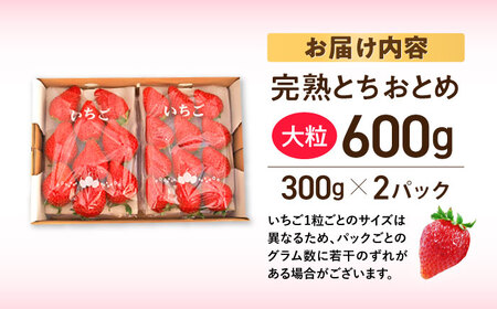 【先行予約】【数量限定】嘉山農園の完熟大粒いちご とちおとめ（300g×2パック）イチゴ 苺 フルーツ 果物 いちご 【いちごはうす嘉山農園】 [AKCO001] 8000円 8千円