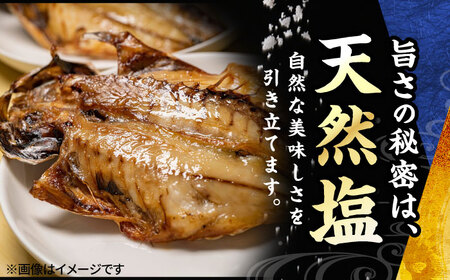 【訳あり】干物 真アジの干物 約2.8kg（40枚前後） [AKCX001]
