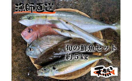 朝どれ鮮魚おまかせセット 約5kg【有限会社勘網】 [AKDX001] | 神奈川県横須賀市 | ふるさと納税サイト「ふるなび」