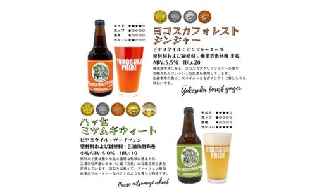 横須賀ビール飲み比べセット （330ml瓶×計72本 毎月6本12ヶ月定期便