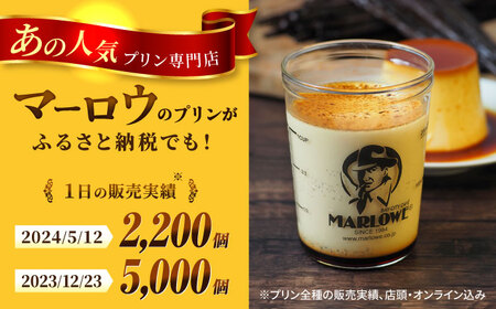 【全3回定期便】葉山ビーカープリン カスタードプリンと北海道フレッシュクリームプリン 180g×2個セット プリン ぷりん 食べ比べ スイーツ 贅沢 横須賀【マーロウ】 [AKAF029]