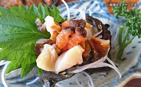 【全6回定期便】サザエ 2kg 13~20個 三浦半島 さざえ サザエ さざえ サザエ 【長井水産株式会社】 [AKAJ013]