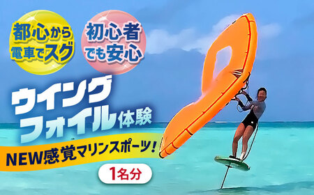 横須賀 津久井浜 Wing Foil (ウイングフォイル) 体験チケット（90分）マリンスポーツ TEARS WINDSURFING SCHOOL ウィンドサーフィン サーフィン リペア 修理 横須賀【ティアーズウインドサーフィンschool】 [AKAN011]