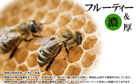 日本みつばち 蜂蜜 180g 2本 ハチミツ  蜜 はちみつ ハニー 健康 フルーティー 国産 百花蜜 純粋 蜜蜂