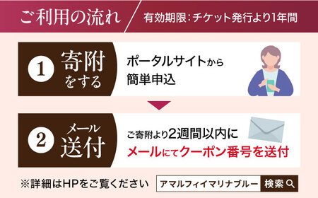 アマルフィイ マリナブルー 食事券 ランチコース ペア 神奈川県 横須賀 旅行 食事 お食事券 贅沢 料理 ペアランチ【株式会社 ビィバリュー】 [AKAY004]