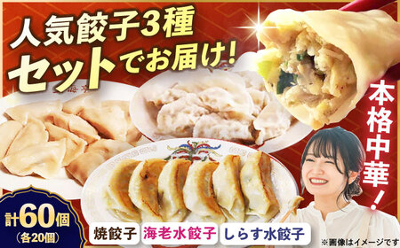 冷凍 海老水餃子 しらす水餃子 焼餃子 3種セット 60個【横須賀商工会議所 おもてなしギフト事務局（上海亭）】 [AKED009]