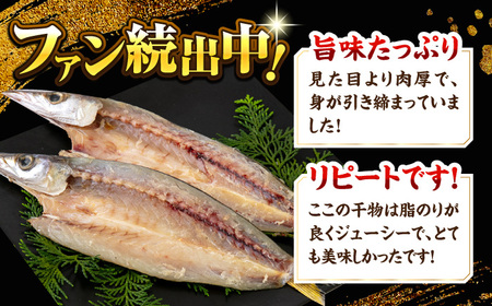 漁師町佐島 干物2種セット 28枚 アジ カマス 干物 横須賀 冷凍干物 厳選干物 人気干物 干物セット【石川水産】 [AKCX005]