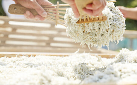 釜揚げしらす 900g [AKFL001]小分けしらす