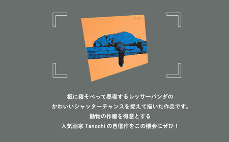 動物画（レッサーパンダ）プレート F０サイズ【横須賀商工会議所 おもてなしギフト事務局（たのち）】 [AKFM003]
