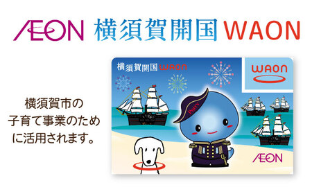 横須賀開国WAONカード【イオンリテール株式会社】 [AKFN001]