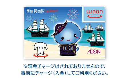 横須賀開国WAONカード【イオンリテール株式会社】 [AKFN001]