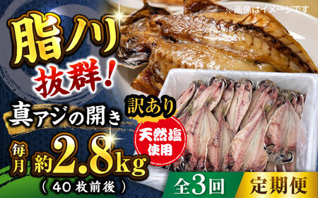 【全3回定期便】【訳あり】漁師町佐島 真アジの開き 約2.8kg（40枚前後）セット 干物 横須賀 ひもの 干物 鯵干物 アジ干物 ひもの あじ ひもの【石川水産】 [AKCX006]