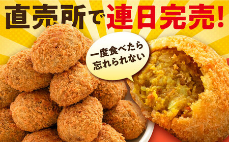コロッケ 本気のカレーコロッケ20個 0.8kg / 冷凍 惣菜  [AKFJ017] 