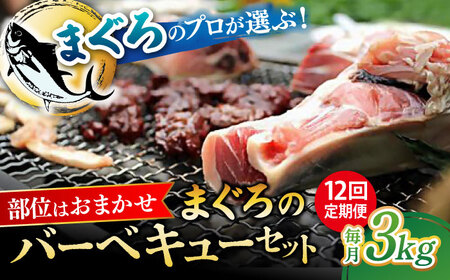 【全12回定期便】まぐろ おまかせバーベキューセット 冷凍約3kg 鮪 マグロ BBQ 魚 横須賀【横須賀商工会議所 おもてなしギフト事務局（本まぐろ直売所 横須賀本店）】 [AKAK034]
