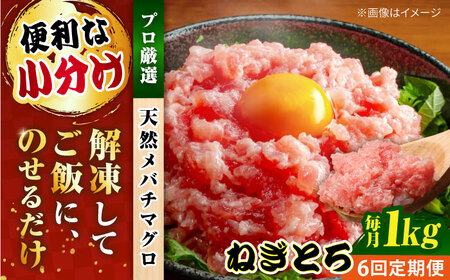 【全6回定期便】まぐろ ねぎとろ 約1kg（約250g×4パック） 鮪 マグロ 魚 ネギトロ 横須賀【横須賀商工会議所 おもてなしギフト事務局（本まぐろ直売所 横須賀本店）】 [AKAK036]