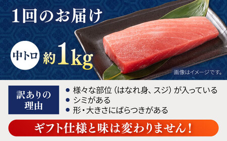 【全12回定期便】【訳あり】天然 まぐろ 中トロ（約1kg）まぐろ まぐろまぐろまぐろまぐろまぐろまぐろまぐろまぐろまぐろ【横須賀商工会議所 おもてなしギフト事務局（本まぐろ直売所）】 [AKAK052]