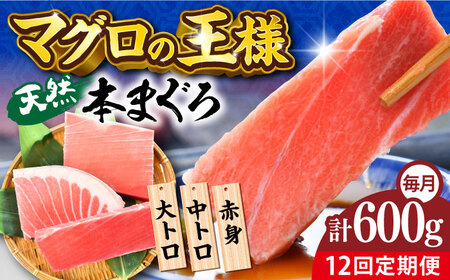 【全12回定期便】天然 本まぐろ 大トロ・中トロ・赤身（約200ｇ×3柵）約600ｇ  鮪 マグロ 魚 刺身 横須賀【横須賀商工会議所 おもてなしギフト事務局（本まぐろ直売所 横須賀本店）】 [AKAK076]