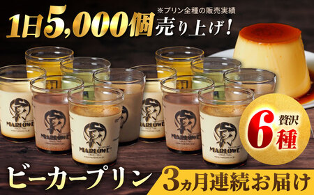 【全3回定期便】葉山ビーカープリン パーティーアソート セット 6種×2個 詰め合わせ（カスタードプリン・かぼちゃプリン・抹茶プリン・北海道フレッシュクリームプリン・エスプレッソプリン・チョコレートプリン）【マーロウ】 [AKAF047]