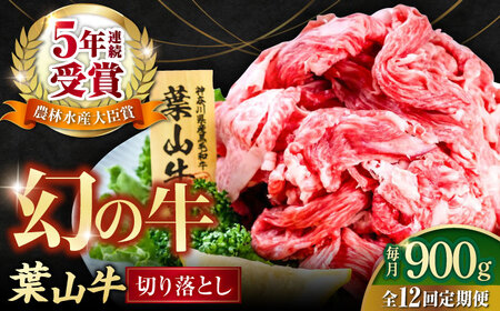 【全12回定期便】葉山牛 切り落とし300g×3パック 小分け 牛肉 切り落とし 横須賀 冷凍  計900g【株式会社羽根】 [AKAG032]
