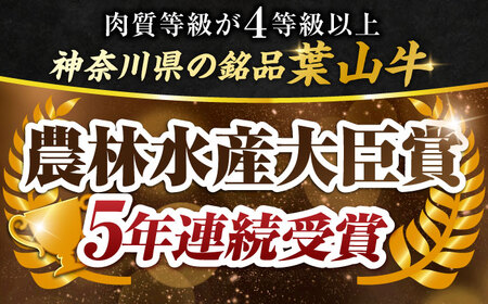 【全12回定期便】葉山牛 切り落とし300g×3パック 小分け 牛肉 切り落とし 横須賀 冷凍  計900g【株式会社羽根】 [AKAG032]