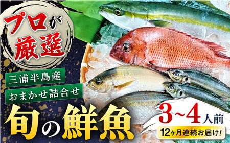 【全12回定期便】旬のおまかせ 厳選鮮魚セット 3~4人前(2~3魚種) 【長井水産株式会社】 [AKAJ023]