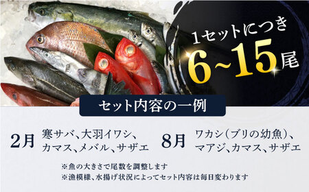 【全12回定期便】旬のおまかせ 厳選鮮魚セット 3~4人前(2~3魚種) 【長井水産株式会社】 [AKAJ023]