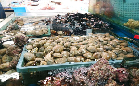 【全12回定期便】サザエ 1kg 6~10個 三浦半島  さざえ サザエ さざえ サザエ 【長井水産株式会社】 [AKAJ025]