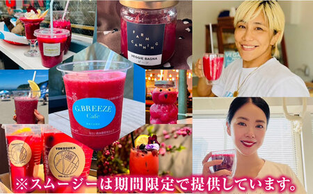 横須賀BASEビーツ 4kg（1kg×4袋）【ゆり子ファーム】 [AKCR003]