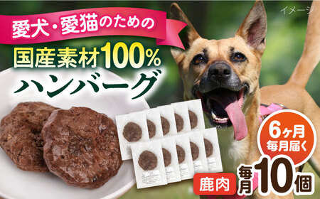 【全6回定期便】ペットフード 鹿肉 100%ハンバーグ 10個セット ペット 犬 猫 手作り 国産 てづくり こだわり ドッグフード  ドッグフード ペットフード 横須賀 【ペットフードYM japan】 [AKEX012]