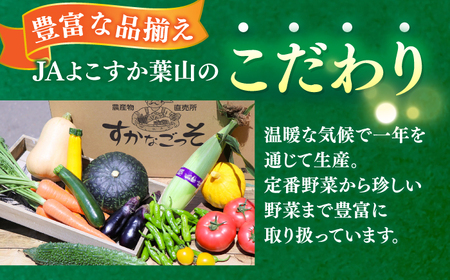 【先行予約】よこすか こだわりかぼちゃ 約10kg 野菜 かぼちゃ 野菜 南瓜 カボチャ 野菜【JAよこすか葉山】 [AKFO004]