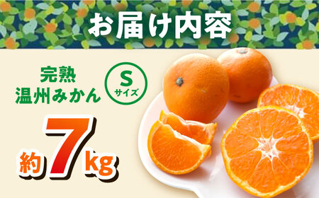 【年内発送の受付は12月24日まで！】【約7kg】温州みかん Sサイズ 津久井浜みかん 蜜柑 ミカン 果物 柑橘 フルーツ 横須賀 みかん 農園みかん 温州みかん 温州ミカン 年内発送【志村農園】 [AKGH001-2]