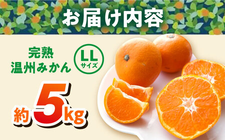 【年内発送の受付は12月24日まで！】温州みかん LLサイズ 約5kg 津久井浜みかん 蜜柑 ミカン 果物 柑橘 フルーツ 横須賀 みかん 農園みかん 温州みかん 温州ミカン 年内発送【志村農園】 [AKGH004]